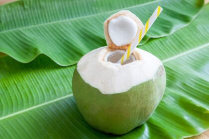Efek samping air kelapa, bahas, sehat